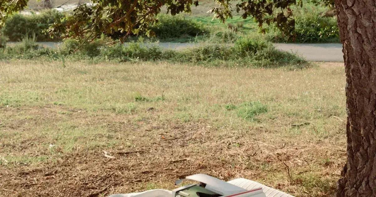 Descubra a Recuperação Saudável que Você Procura - Dicas e Tratamentos