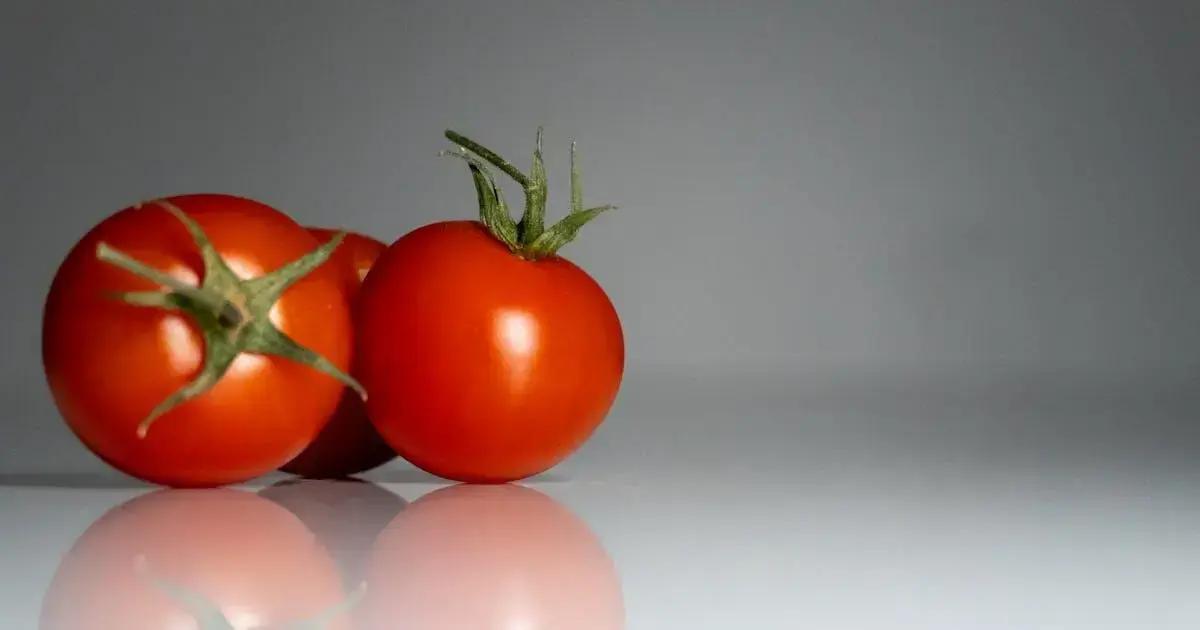 Descubra as Vitaminas Essenciais para uma Vida Saudável e Energética