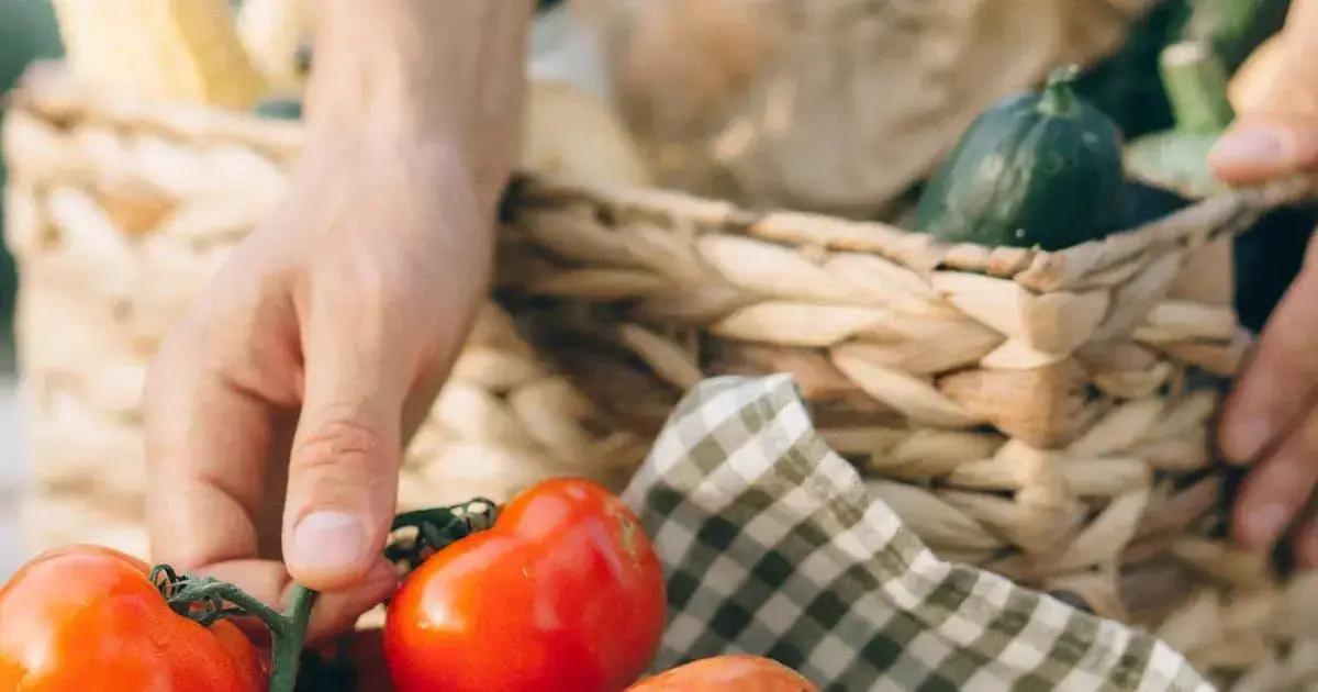 Descubra os Superalimentos que revolucionaram a sua saúde!