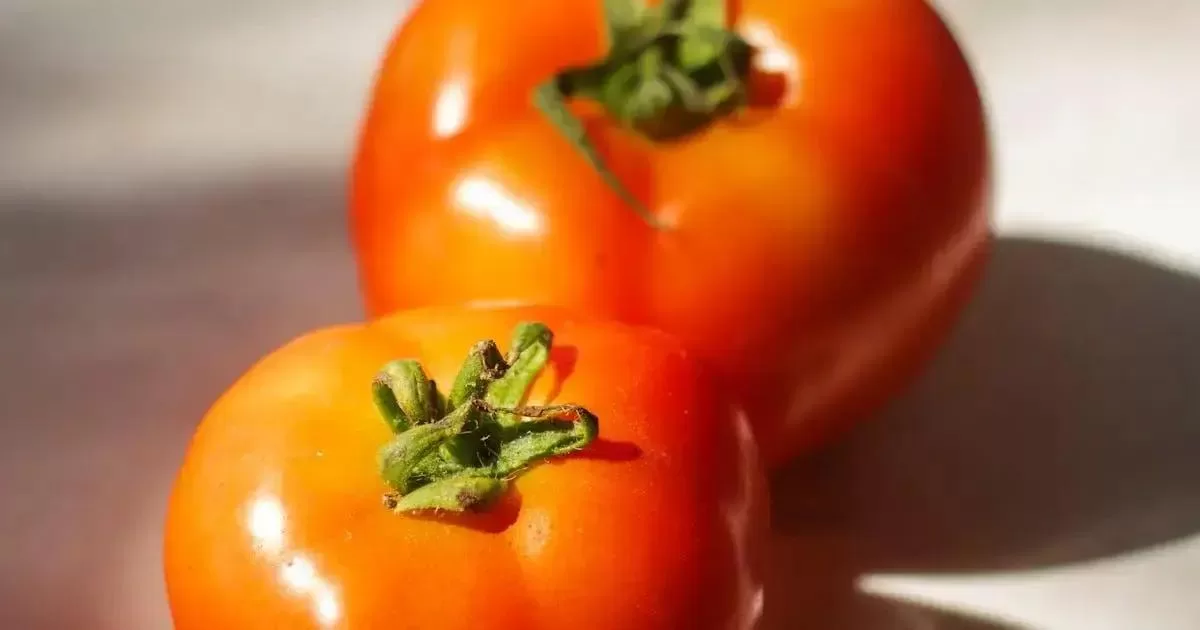 Dicas para Manter uma Alimentação Saudável a Longo Prazo