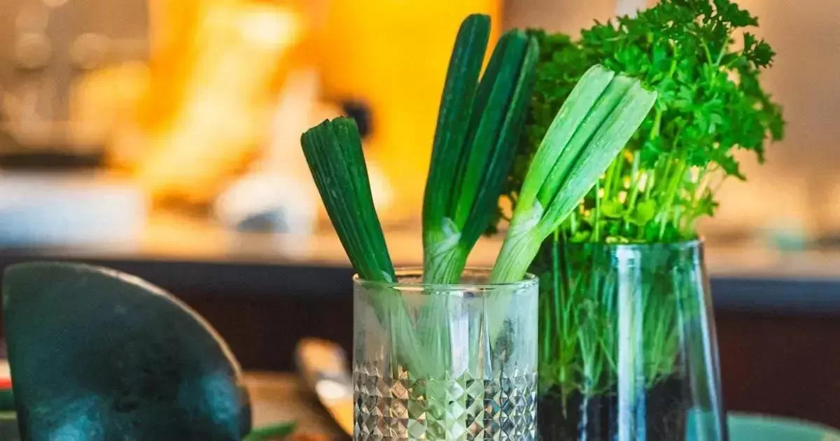 Acompanhamento Nutricional: Quando e Como?