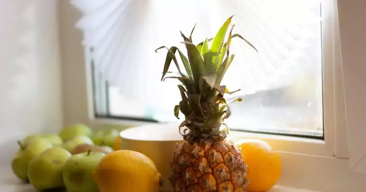 Benefícios da Suplementação Natural