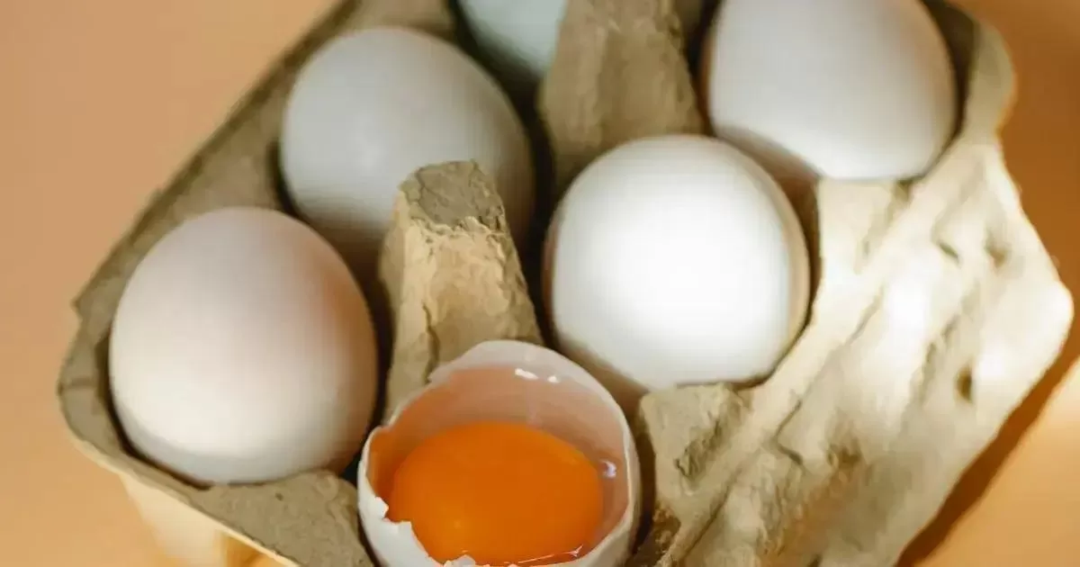 Suplementos de proteínas: são necessários?