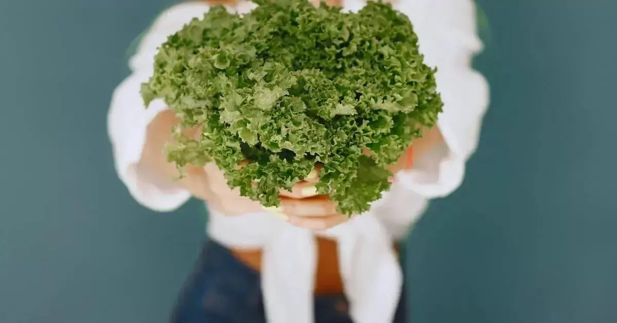 Vitaminas e Minerais Essenciais