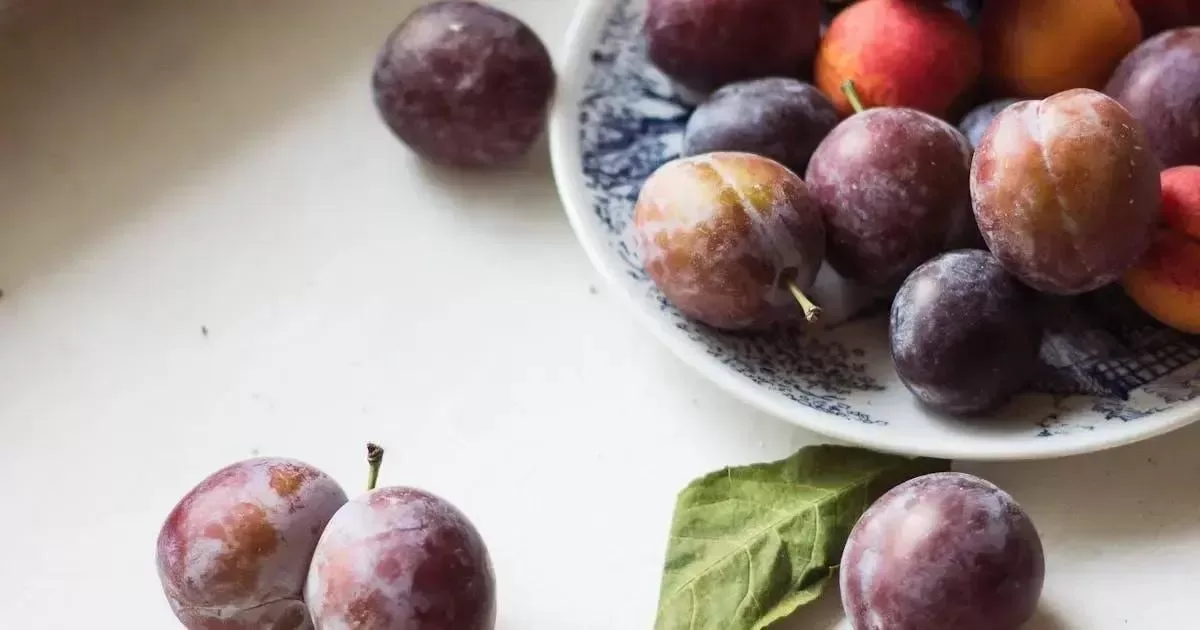 Vitaminas: Essenciais para Paciente Bariátrico