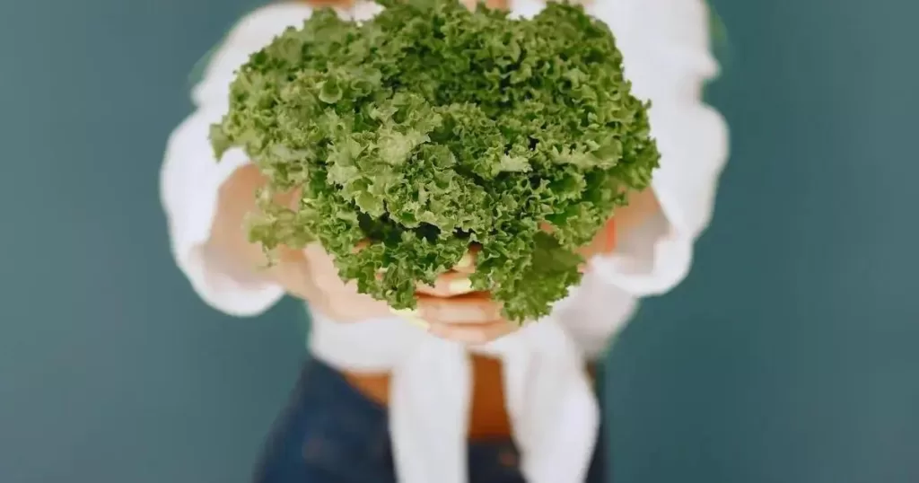 Proteína na Dieta Bariátrica: Quanto e Como Consumir