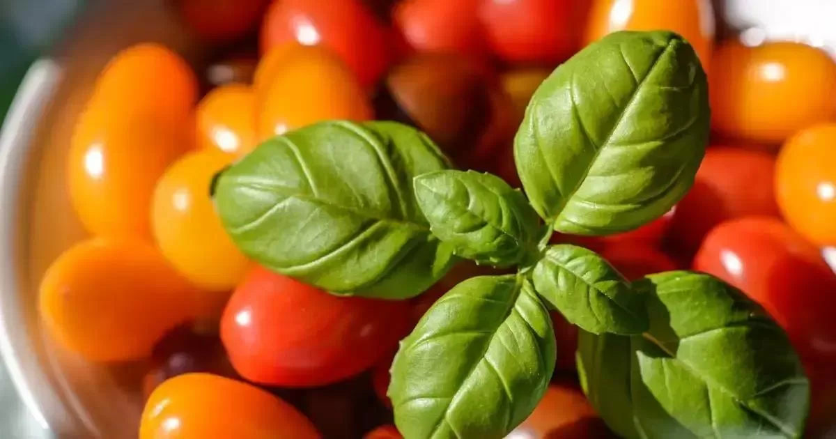 Salada de Atum com Grão-de-Bico