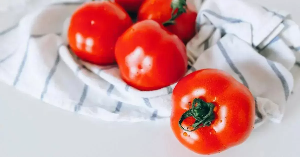 Proteínas magras para ganho muscular